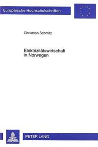 Elektrizitaetswirtschaft in Norwegen