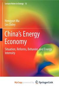 China's Energy Economy