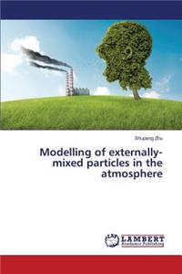 Modelling of externally-mixed particles in the atmosphere