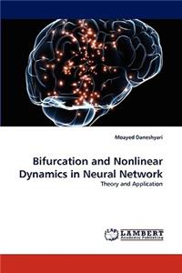 Bifurcation and Nonlinear Dynamics in Neural Network