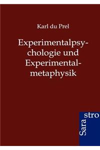 Experimentalpsychologie und Experimentalmetaphysik