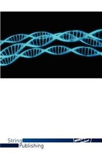 L-Lysine 6-Transaminase