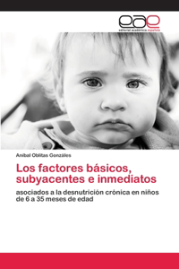 factores básicos, subyacentes e inmediatos