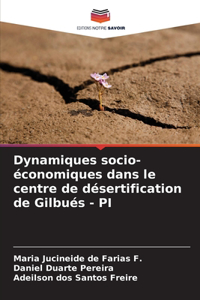 Dynamiques socio-économiques dans le centre de désertification de Gilbués - PI