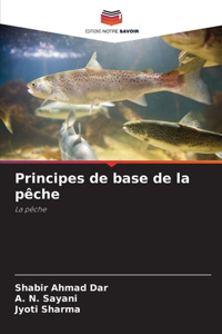 Principes de base de la pêche