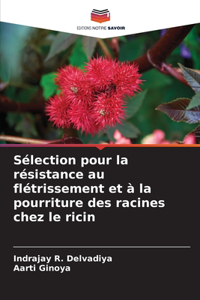 Sélection pour la résistance au flétrissement et à la pourriture des racines chez le ricin