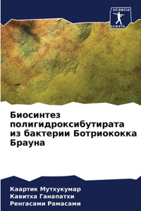 Биосинтез полигидроксибутирата из бакте&