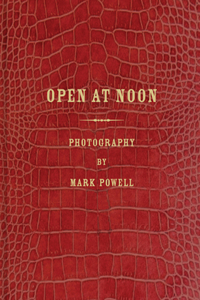 Mark Alor Powell: Open at Noon