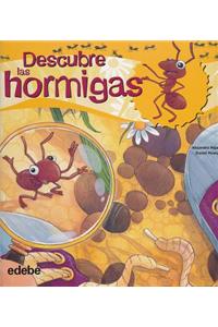 Descubre las hormigas / Discover the ants