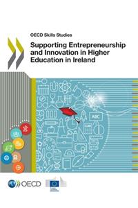 Supporting Entrepreneurship and Innovation in Higher Education in Ireland