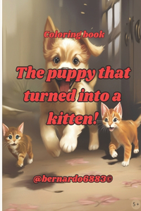 puppy that turned into a kitten!