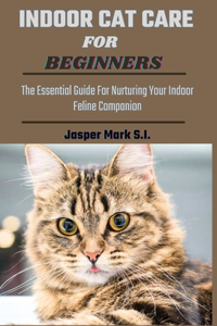 Indoor Cat Care for Beginners