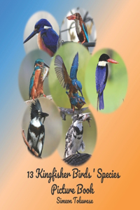 13 Kingfisher Birds' Species Picture Book