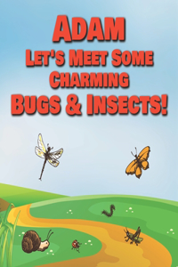 Adam Let's Meet Some Charming Bugs & Insects!