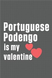 Portuguese Podengo is my valentine