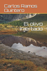 El olivo injertado