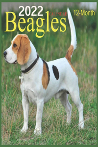 Beagles Calendar 2022