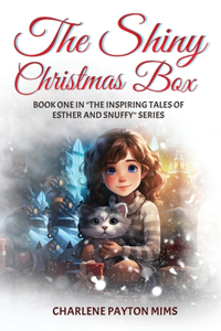 The Shiny Christmas Box