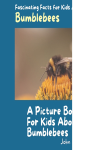 Picture Book for Kids About Bumblebees