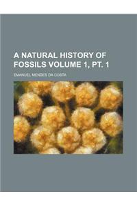 A Natural History of Fossils Volume 1, PT. 1
