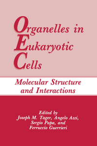 Organelles in Eukaryotic Cells