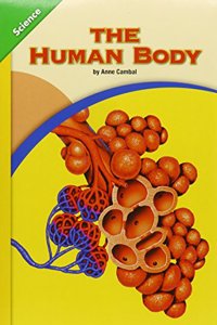 The The Human Body Human Body