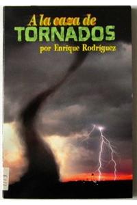 Spanish Chapter Books Chasing Tornadoes Single Title 2004c