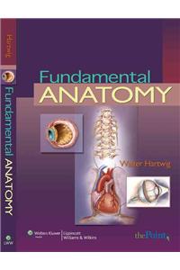 Fundamental Anatomy