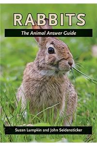 Rabbits