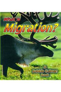 What is Migration?