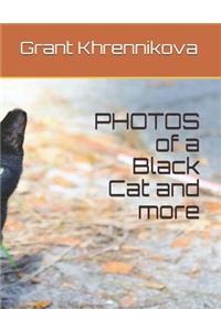 PHOTOS of a Black Cat and more
