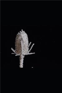 Dried Thistle Covered in Winter Frost Journal