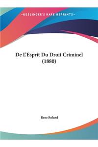 de L'Esprit Du Droit Criminel (1880)