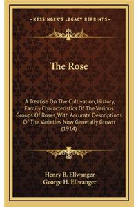 The Rose