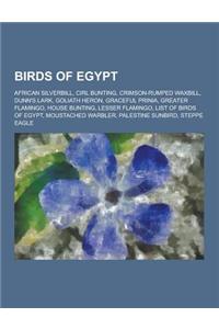 Birds of Egypt: African Silverbill, Cirl Bunting, Crimson-Rumped Waxbill, Dunn's Lark, Goliath Heron, Graceful Prinia, Greater Flaming