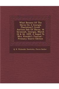 What Became of the Slaves on a Georgia Plantation?
