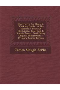 Electricity for Boys