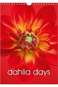 Dahlia Days 2018