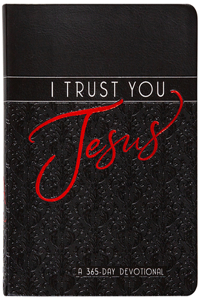 I Trust You Jesus