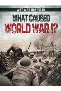 What Caused World War I?