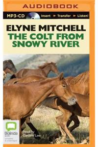 Colt from Snowy River