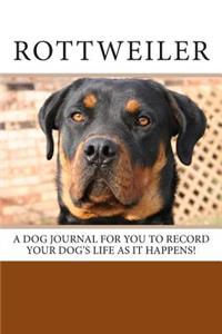 Rottweiler