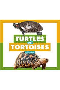 Turtles and Tortoises