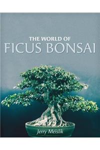 World of Ficus Bonsai