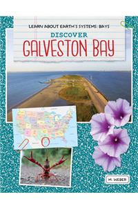 Discover Galveston Bay