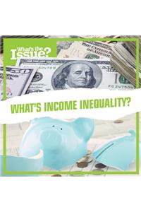 What's Income Inequality?