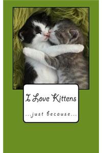 I Love Kittens