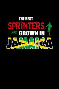 Best Sprinters Are Grown In Jamaica