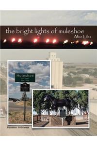 Bright Lights of Muleshoe