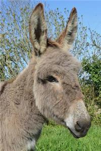 Inquisitive Little Gray Donkey Journal